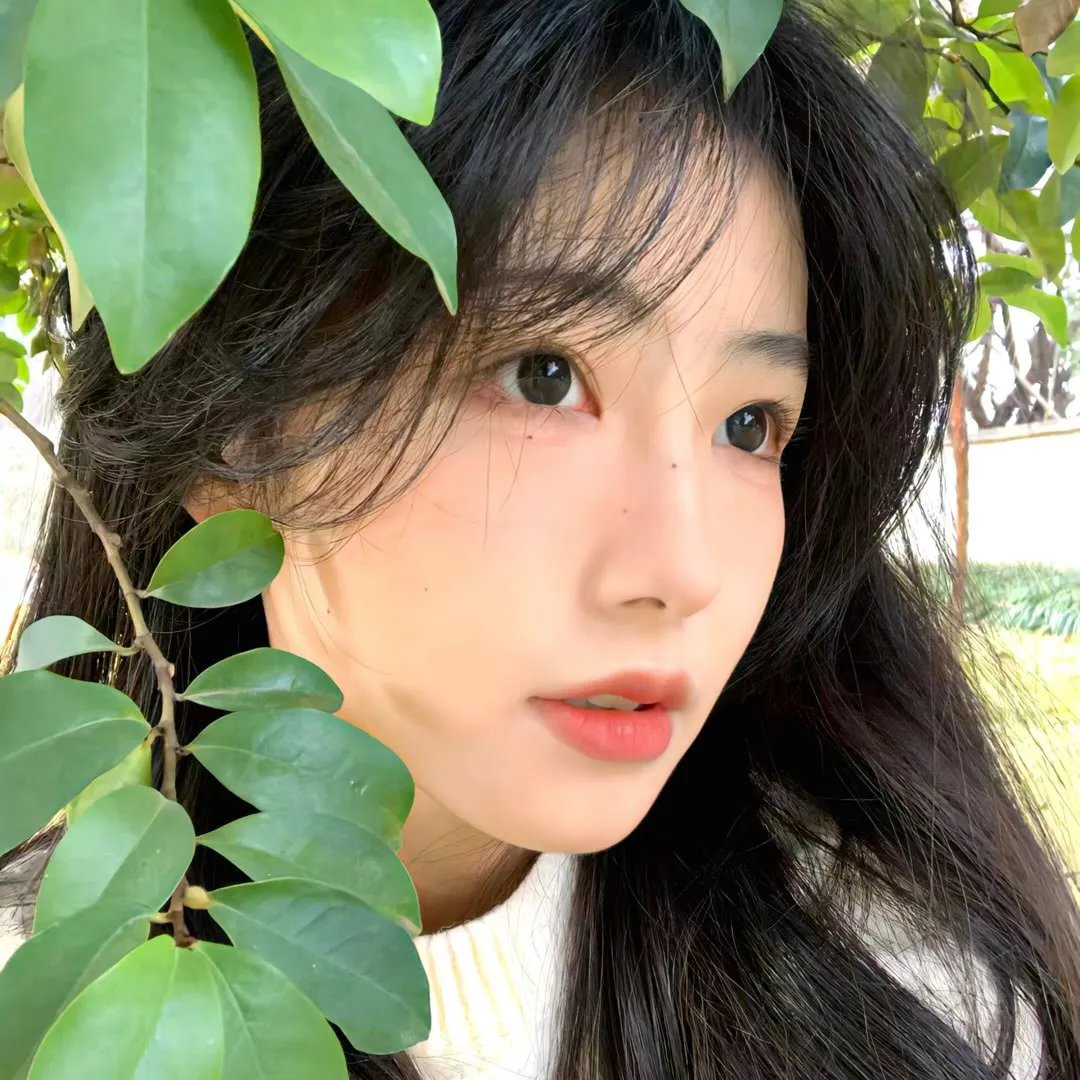 安娜贝尔回家啰